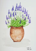 Floral violeta en tiesto