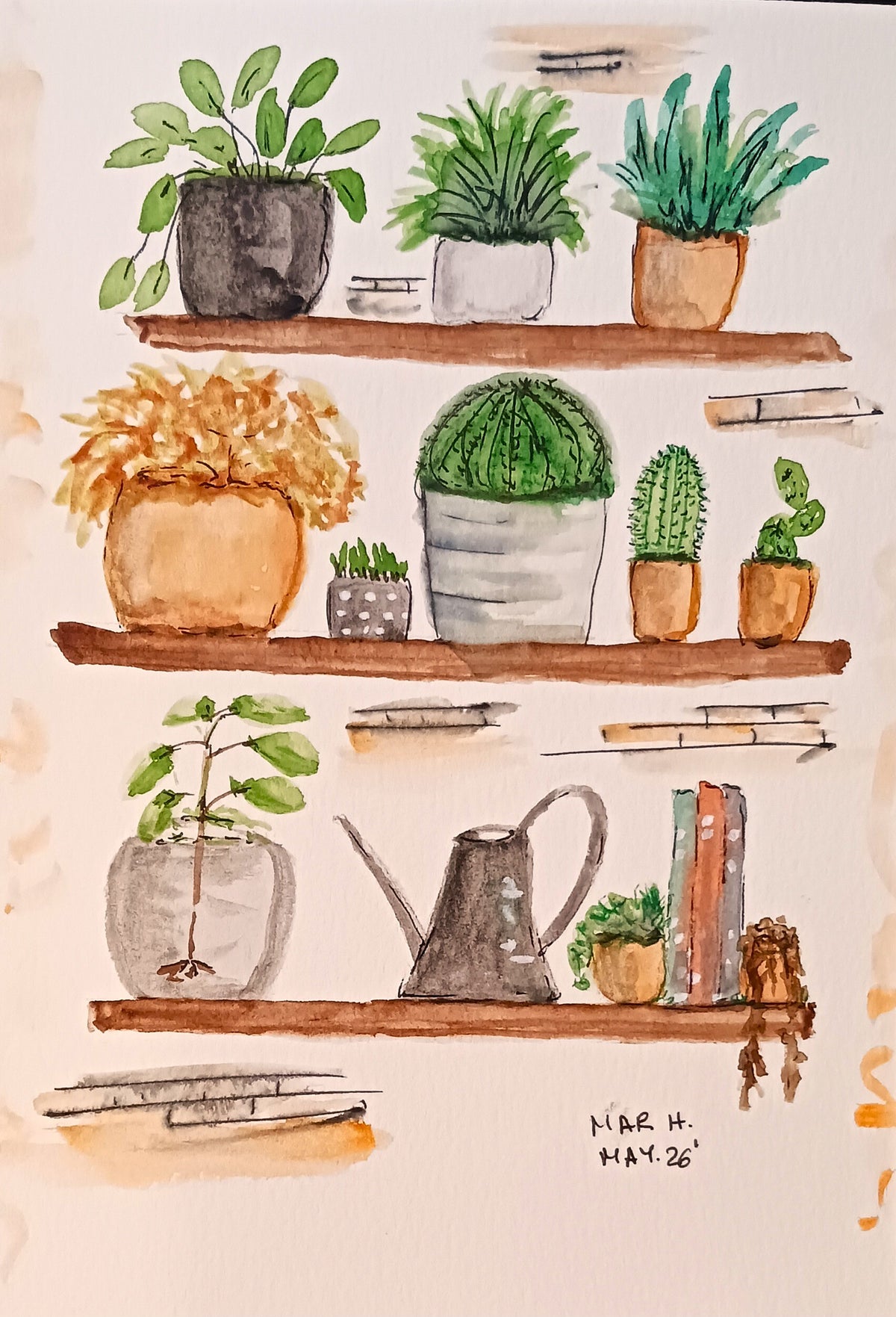 Estanterías y captus