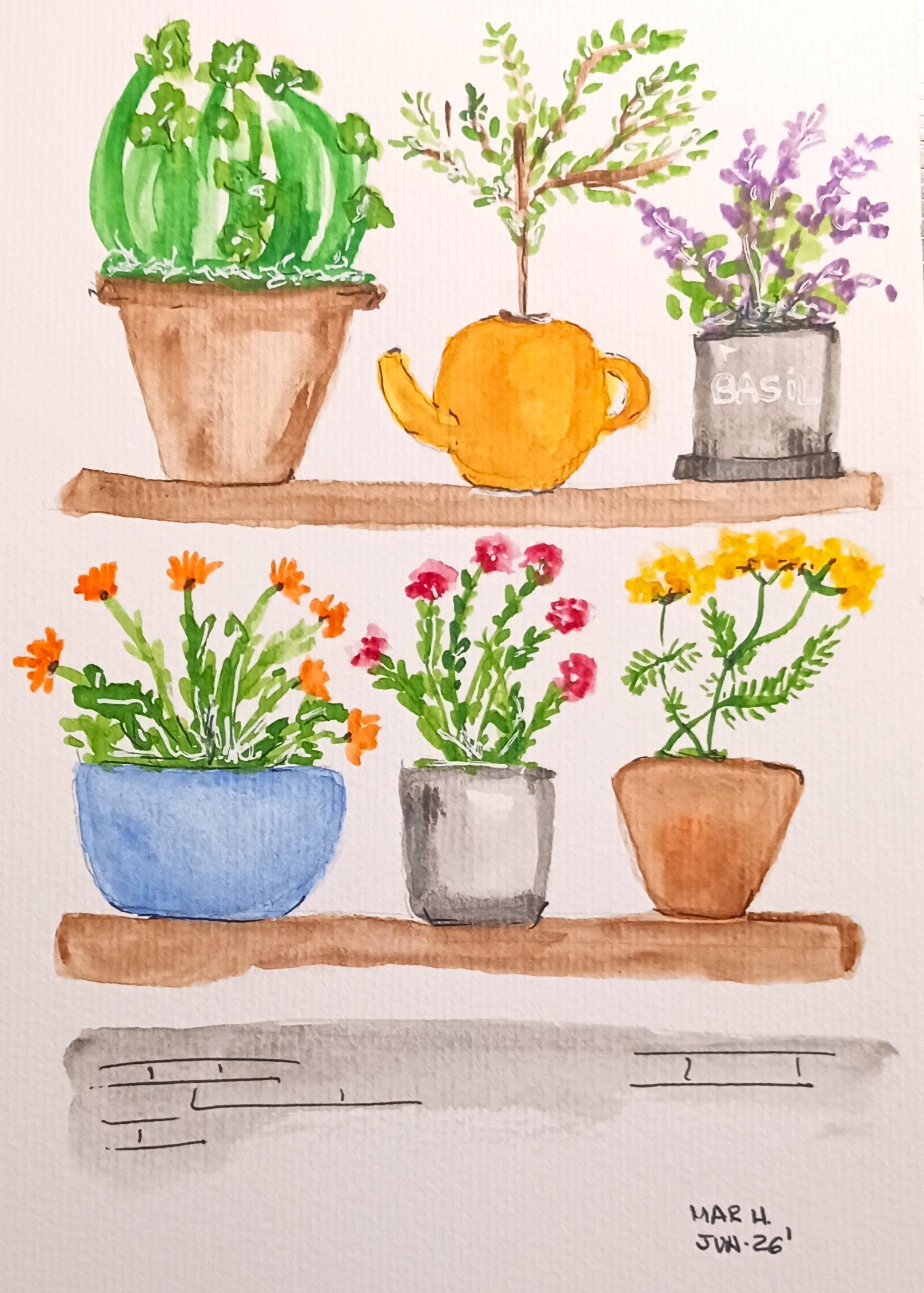 Estanterías y flores