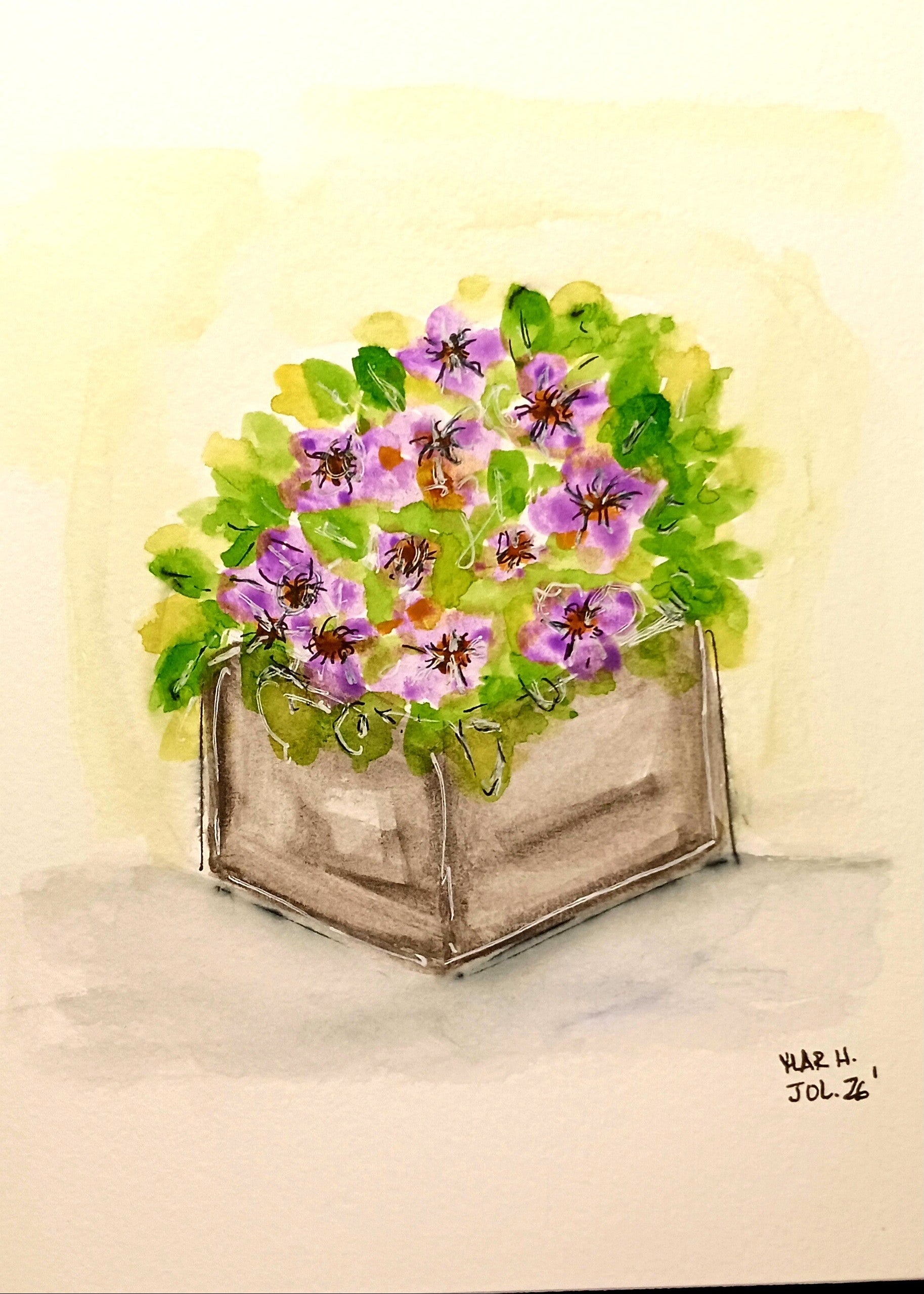 Maceta en flor